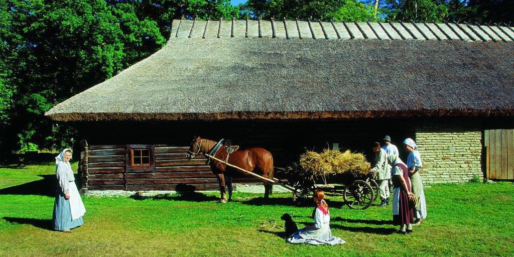 Музей под открытым небом, повозка