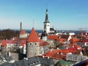 Вид со смотровой плошадки