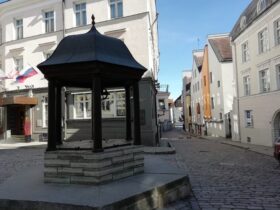 Кошачий колодец