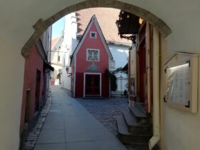 Самый маленький домик