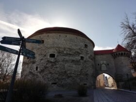 Толстая Маргарита